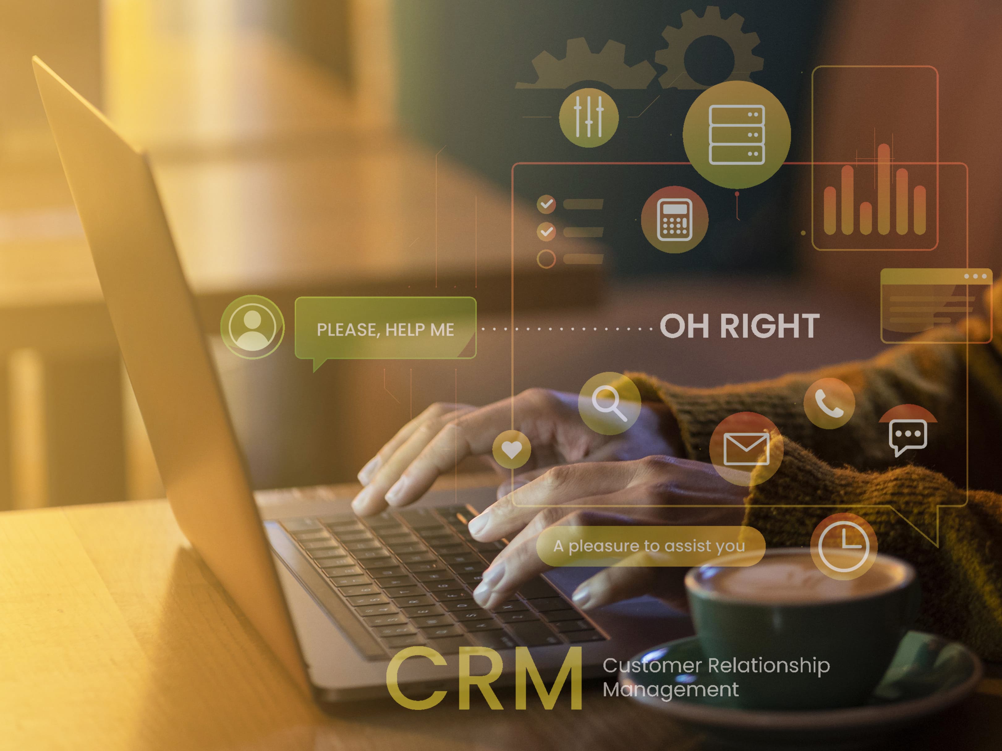 CRM data and pipeline issues